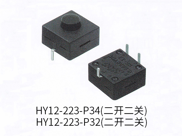手电筒开关 HY12-223-P34(二开二关)